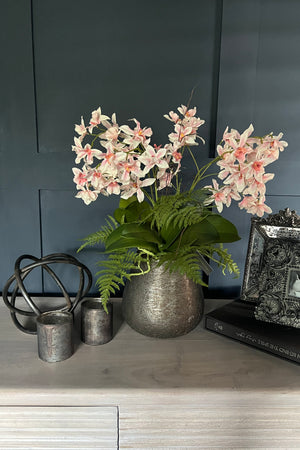 Dendrobium Orchids and Fern in a Bronze Vase (Pink)