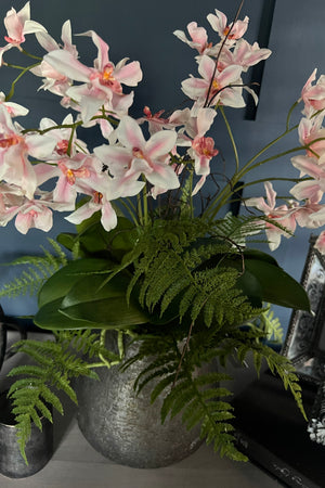 Dendrobium Orchids and Fern in a Bronze Vase (Pink)