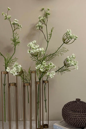 Test Tube Vases with Queen Anne's Lace