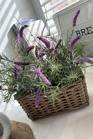 Lavender in a Basket