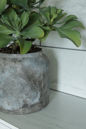 Succulent Plant in a Handpainted Stone Pot