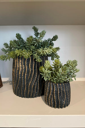 Mini Spiky Succulents in a Bronze Wavy Pot
