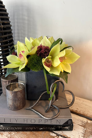 Cymbidium Orchids with Dianthus in a Pewter Stone Cube (Yellow)