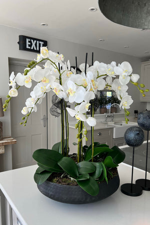 Orchids in a Black Metallic Dimpled Bowl