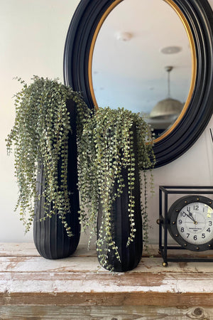 Hanging Succulents in Tall Black Metal Vases