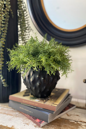 Vanilla Bush in a Spiky Matt Black Vase