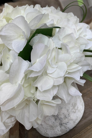 Hydrangeas in a Lime washed Stone Pot (White)