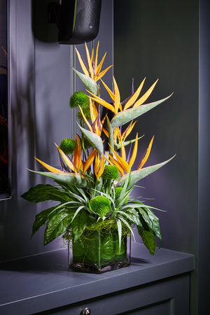Tropical Birds of Paradise and Dianthus in a Glass Cube