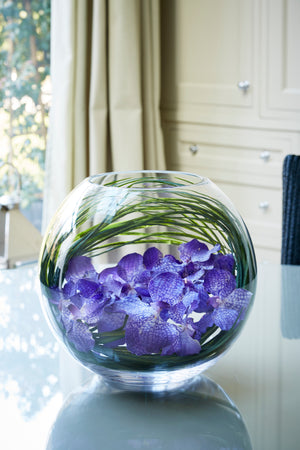 Vanda Orchids with Grasses in a Glass Goldfish Bowl (Purple)