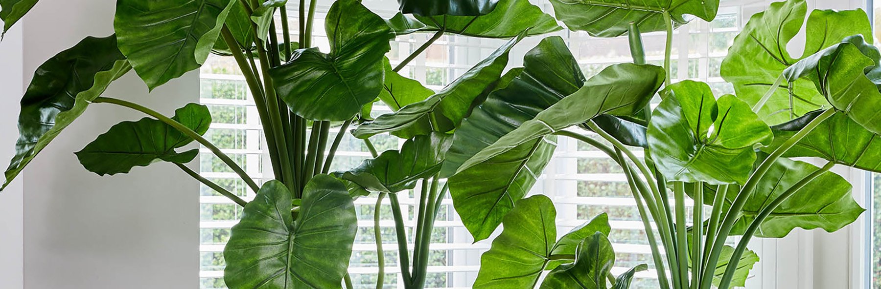 artificialplantsbanner