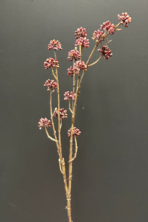 Pine Spray 64cm Purple