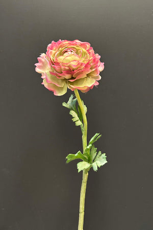 Ranunculus 53cm Purple/Green