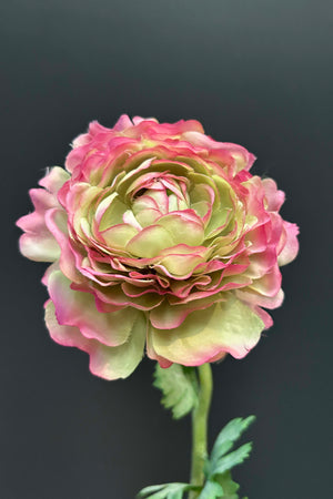 Ranunculus 53cm Purple/Green
