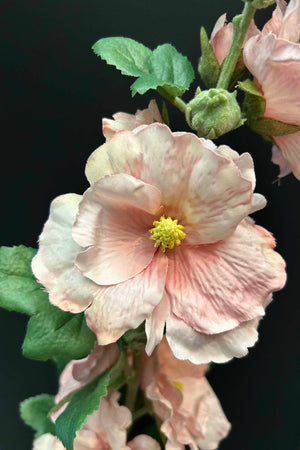 Hollyhock 86cm Pink
