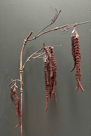 Birch Bud Branch 76cm Purple/Brown