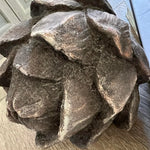 Slide image