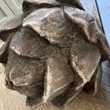Decorative Artichoke (Brown)