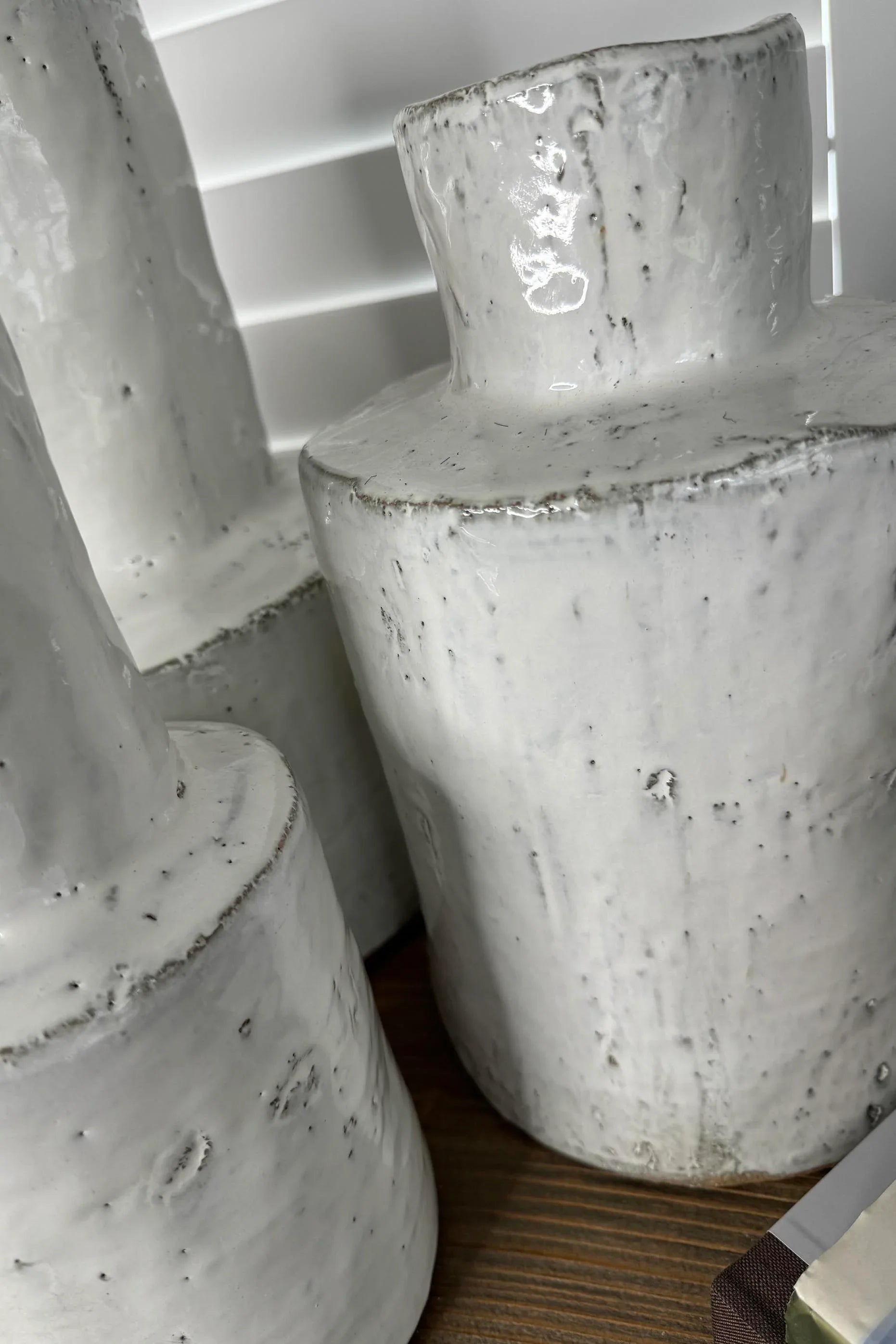 White Glazed Organic Vase RTfact Flowers 