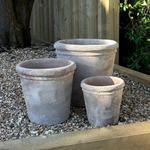 Antique Terracotta Pot RTfact Flowers 