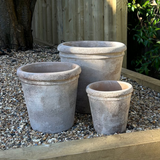 Antique Terracotta Pot RTfact Flowers 