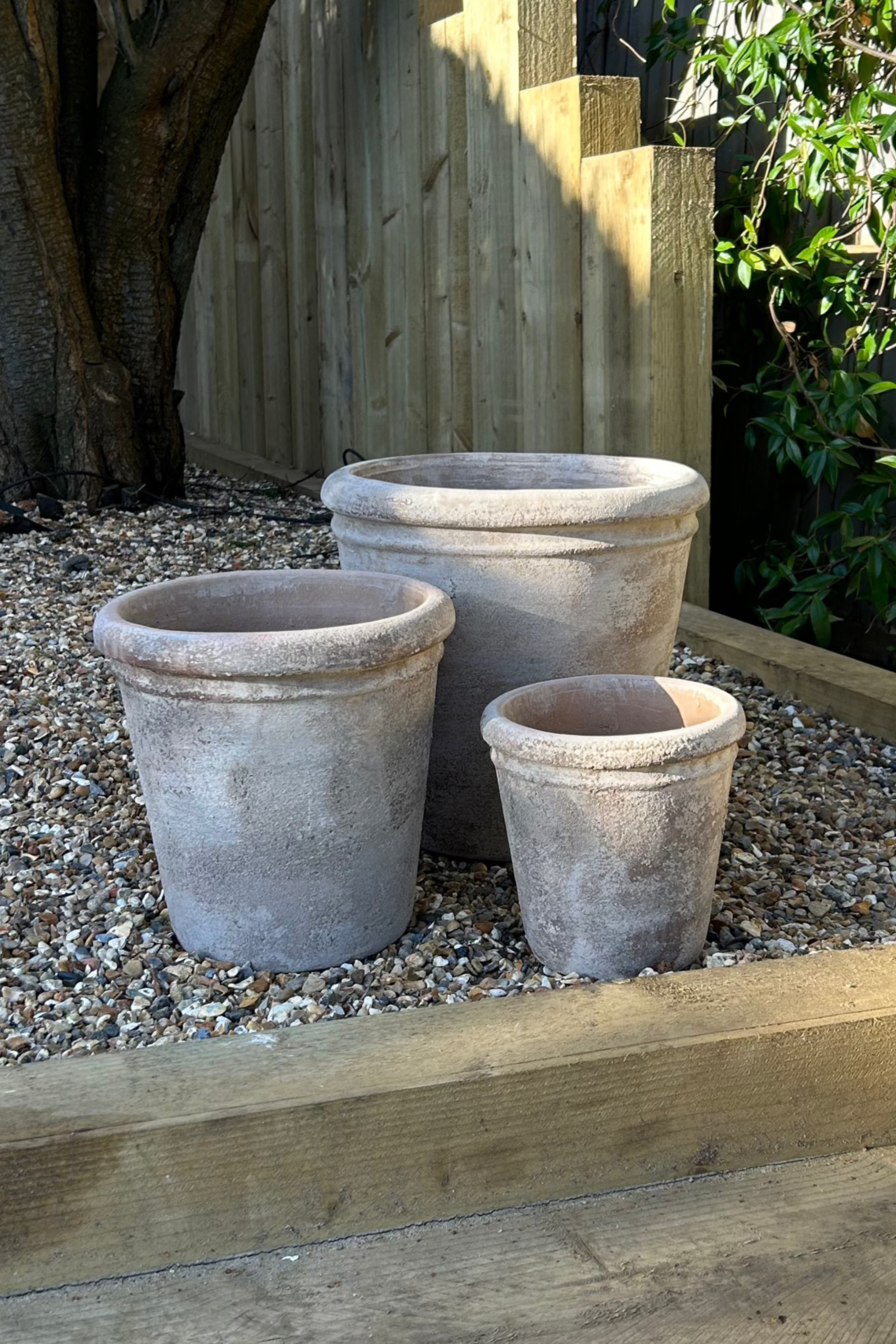 Antique Terracotta Pot RTfact Flowers 
