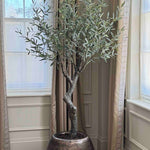 Potted faux olive tree in a room with large windows and curtains