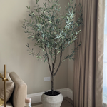 Artificial Olive Tree (210cm) RTfact Flowers 