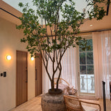 Artificial Bucida Tree - 2.9m