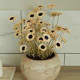 Daisies in a Terracotta Bowl RTfact Flowers 