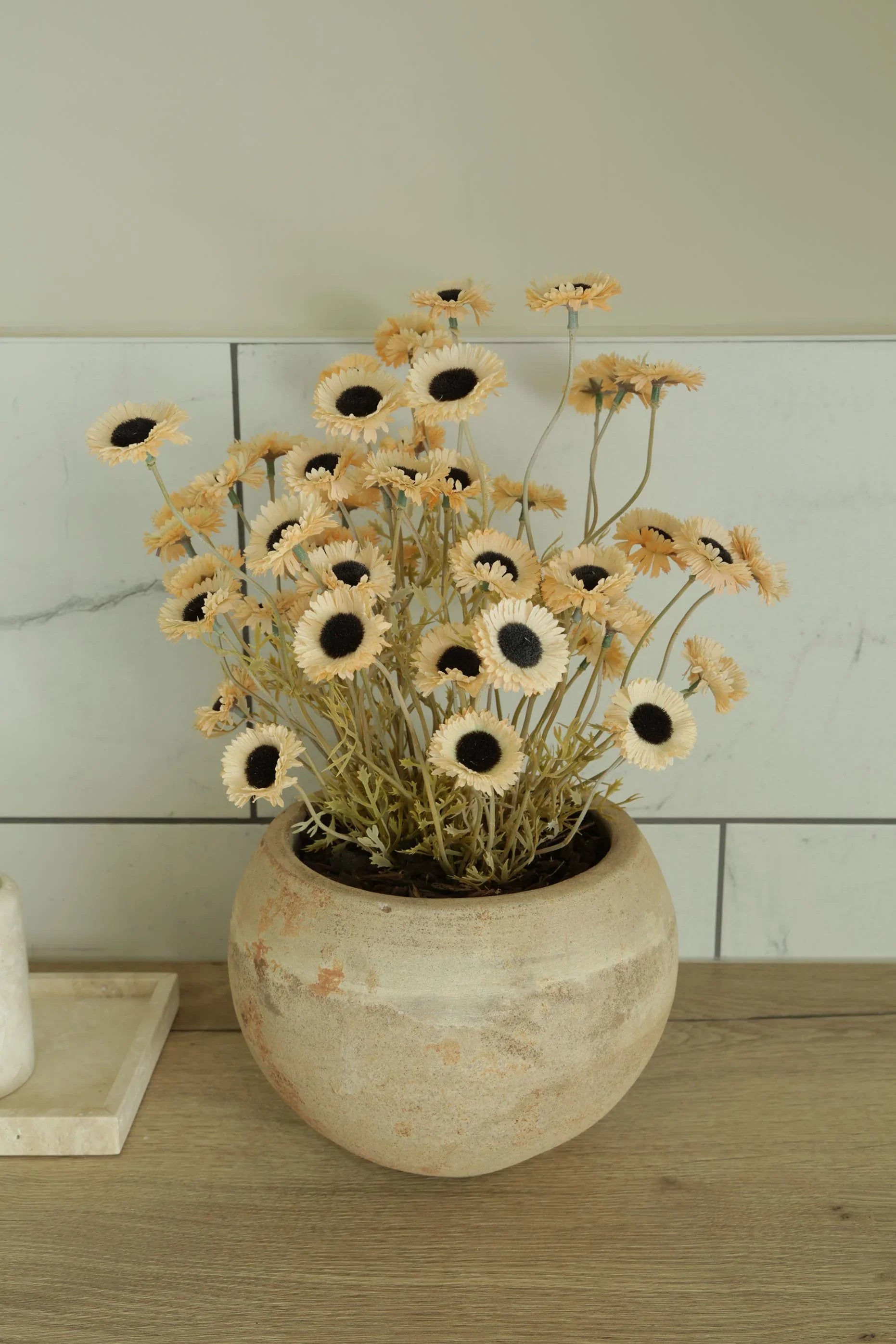Daisies in a Terracotta Bowl RTfact Flowers 