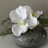 Vanda Orchid with Watergrass in a Mottled Vase RTfact Flowers 