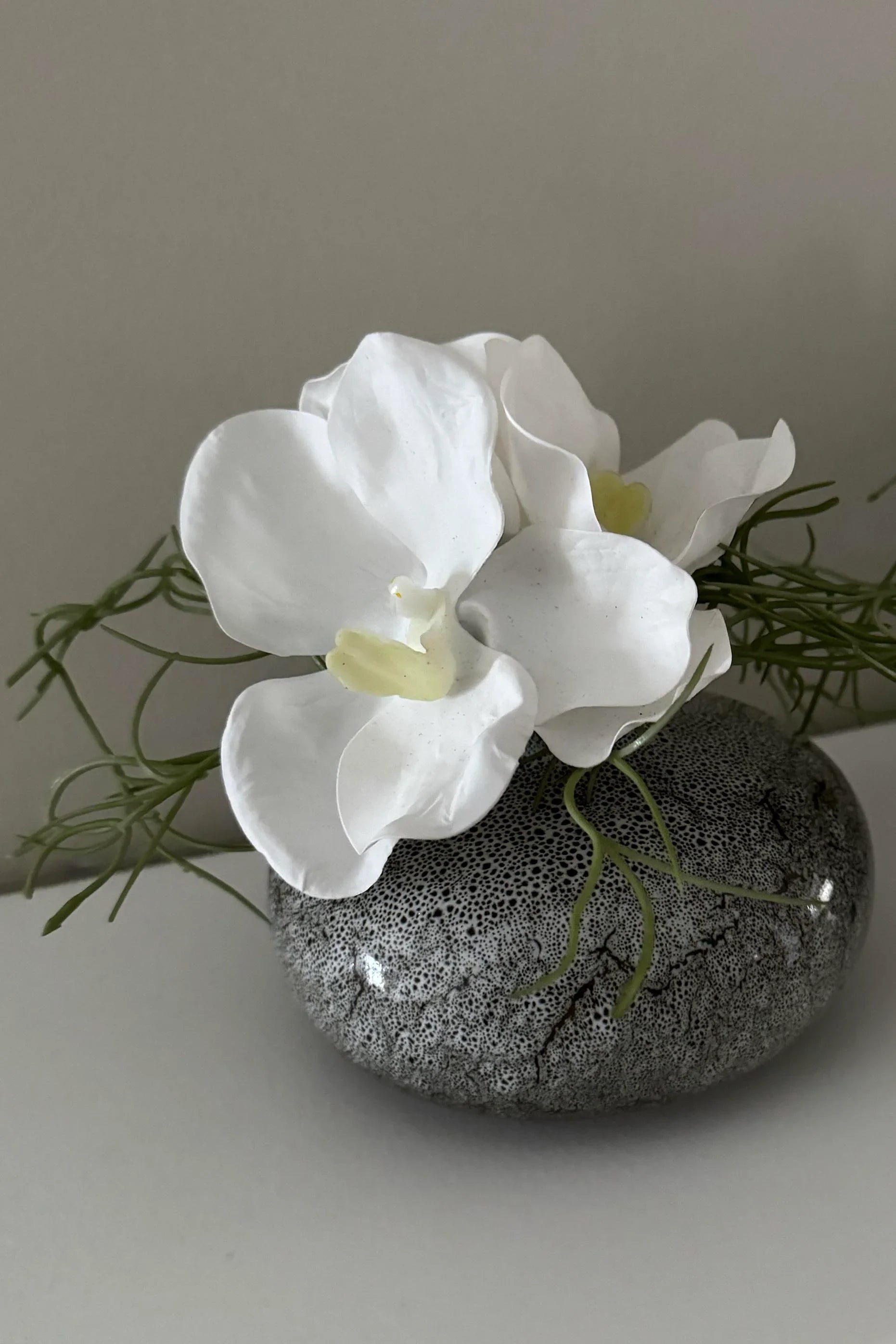 Vanda Orchid with Watergrass in a Mottled Vase RTfact Flowers 