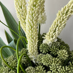 Foxtail Lily and Angelica Stems in Ridged Metal Vases RTfact Flowers 