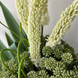 Foxtail Lily and Angelica Stems in Ridged Metal Vases RTfact Flowers 