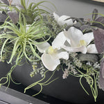 Orchids and Succulents in a Black Stone Boat RTfact Flowers 