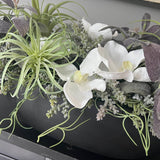 Orchids and Succulents in a Black Stone Boat RTfact Flowers 