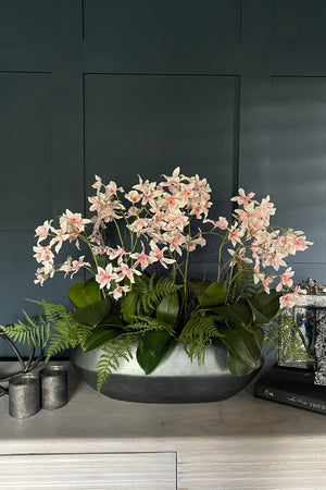 Dendrobium Orchids and Fern in a Pewter Boat