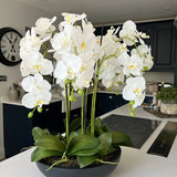 Orchids in Black Matt Bowl RTfact Flowers 