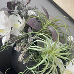 Orchids and Succulents in a Black Stone Boat RTfact Flowers 