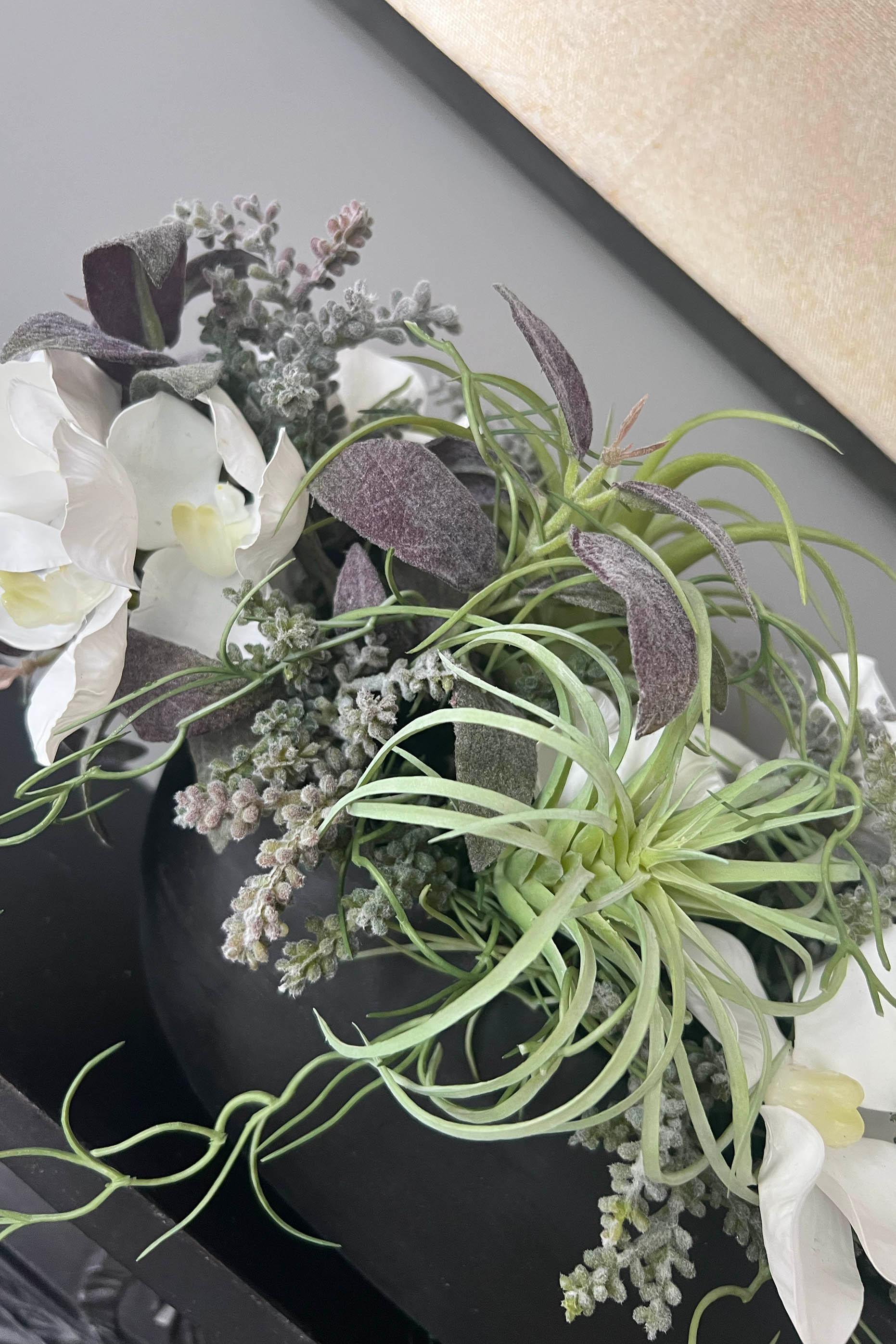 Orchids and Succulents in a Black Stone Boat RTfact Flowers 