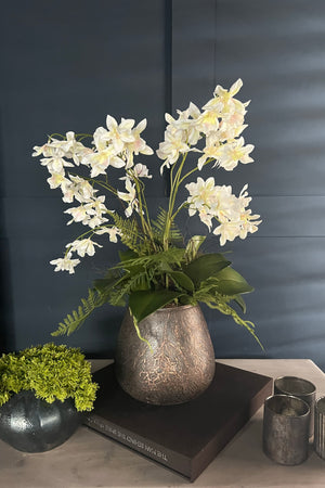 Dendrobium Orchids and Fern in a Bronze Vase (White)
