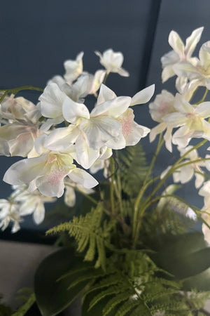 Dendrobium Orchids and Fern in a Bronze Vase (White)