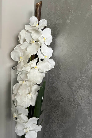 Vanda Orchid (White) in a Tall Glass Cylinder