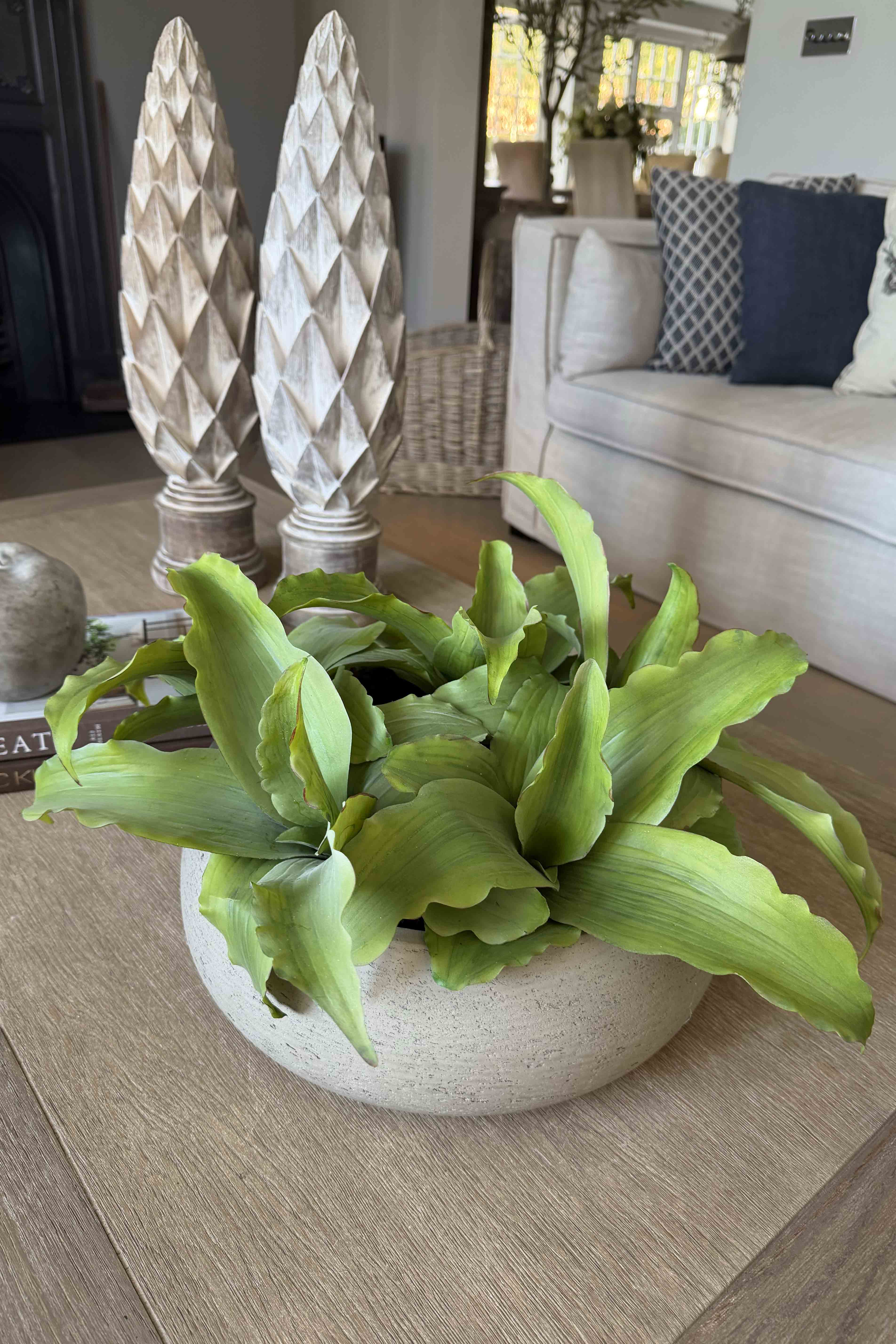 Succulent in a Grey textured bowl RTfact Flowers 