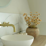 Daisies in a Terracotta Bowl RTfact Flowers 