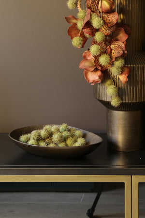 Platanus in a Antique Gold Bowl