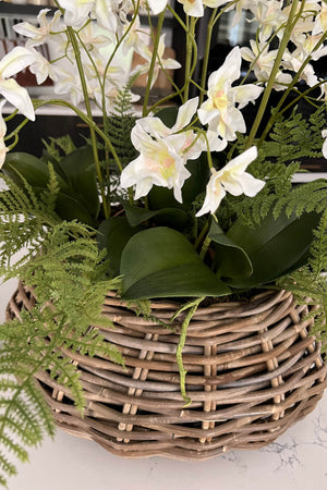 Dendrobium Orchids in a Wicker Basket (white)