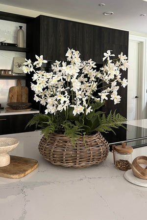 Dendrobium Orchids in a Wicker Basket (white)