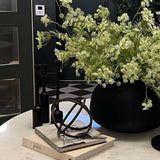 Queen Anne's Lace in a Frosted Glass Vase RTfact Flowers 