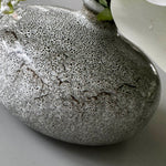 Hellebore and Angelica in a Grey Mottled Vase RTfact Flowers 
